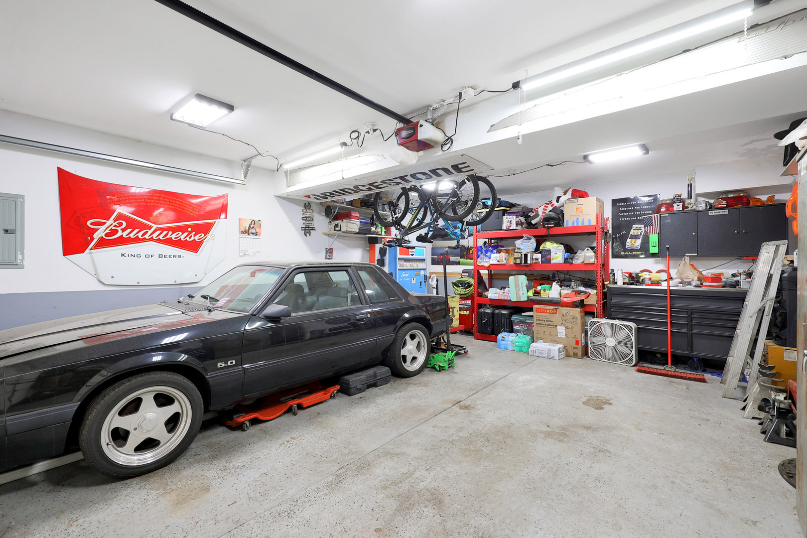 Property Image 1648906523