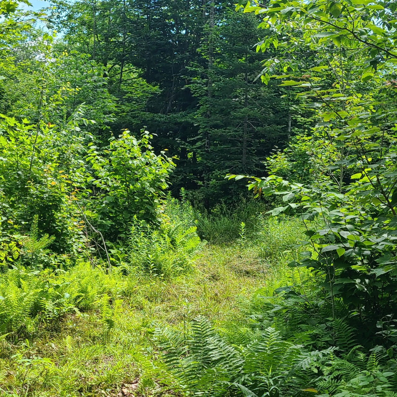 Property Image 1646764779