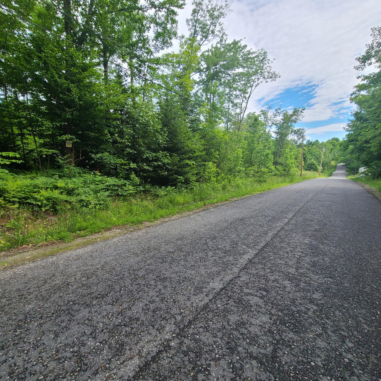 Property Image 1646764781