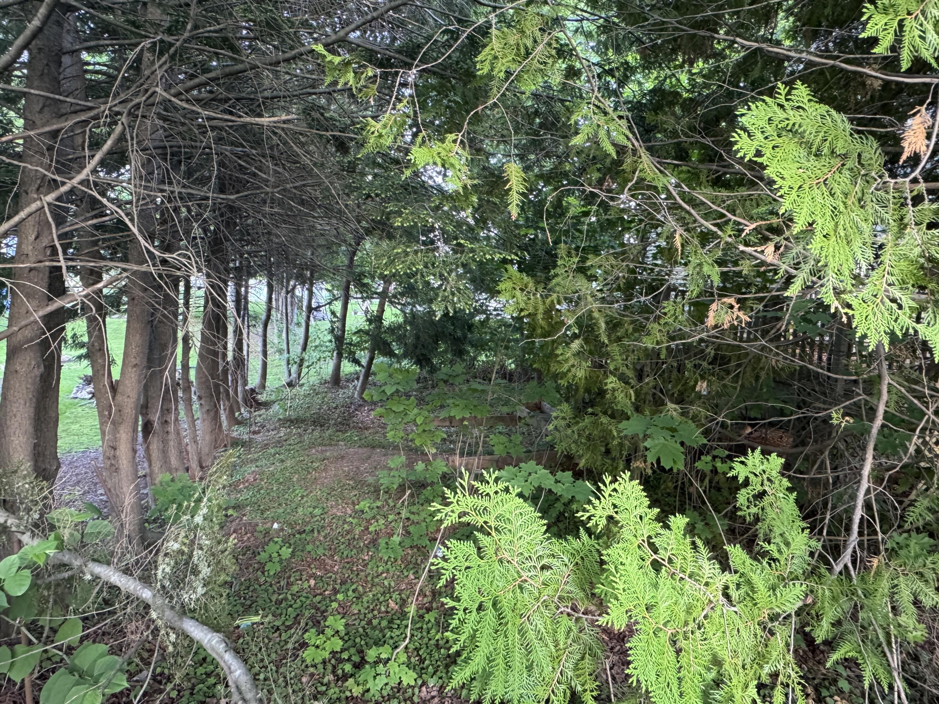 Property Image 1715486098