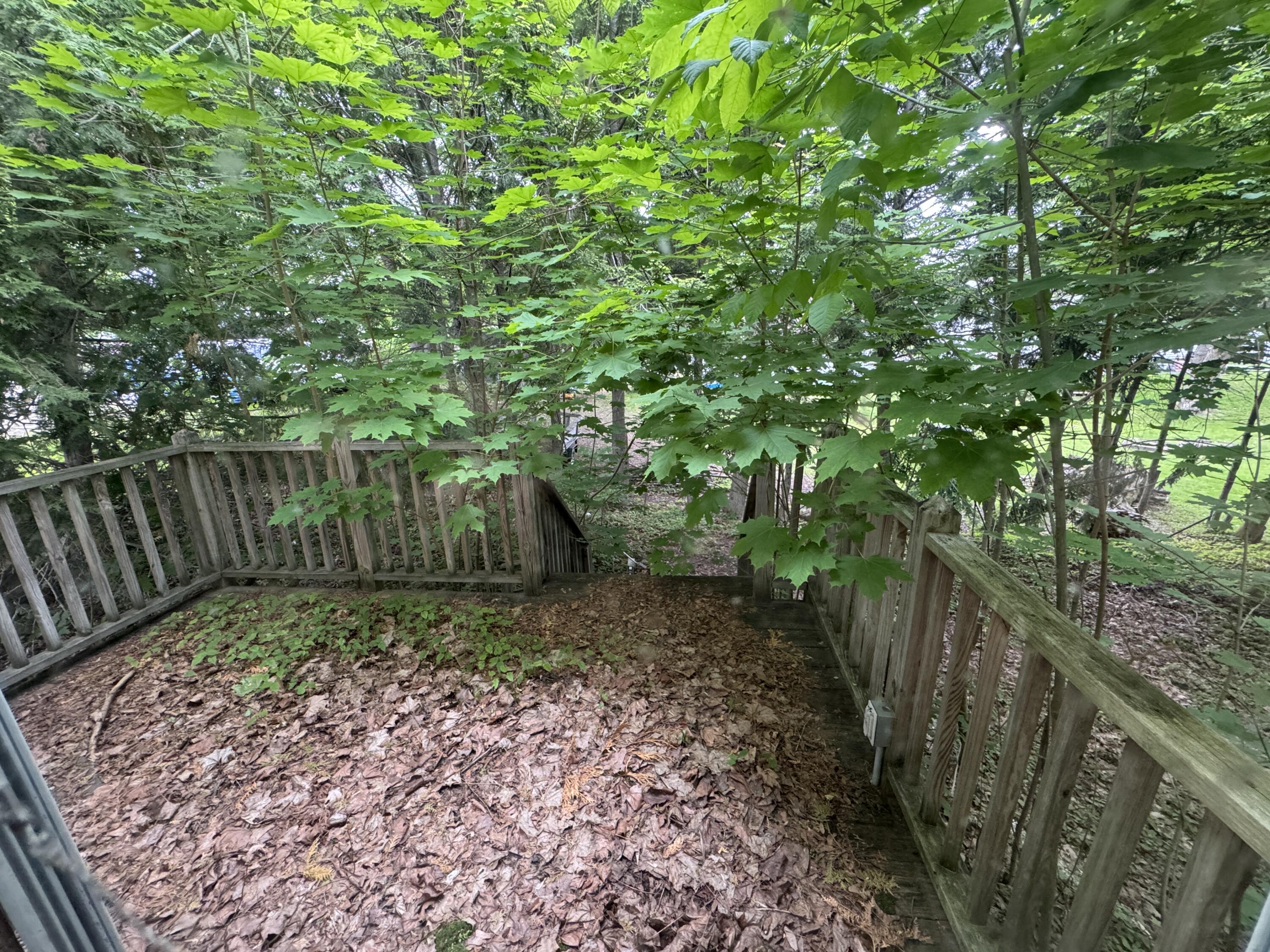 Property Image 1715486082