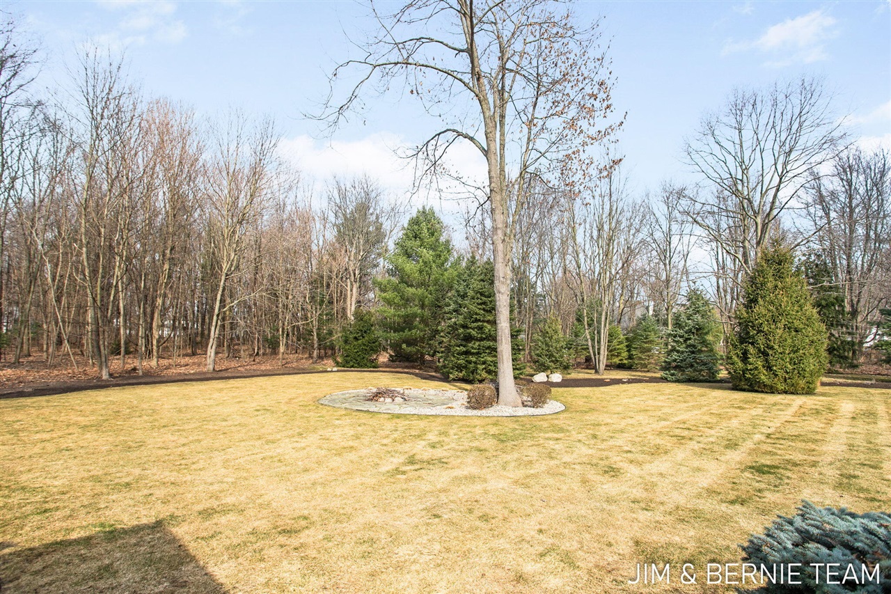 Property Image 1665554496