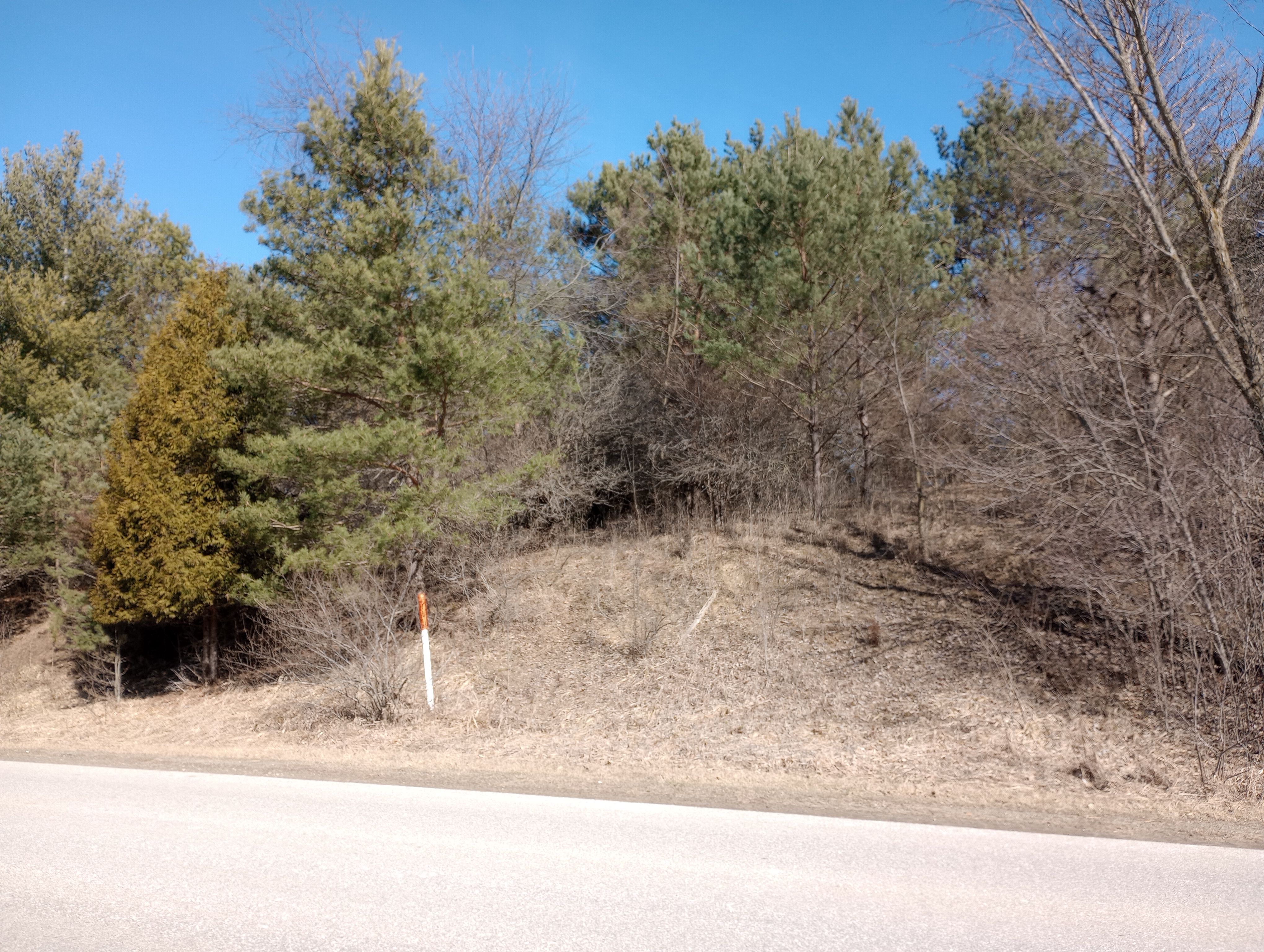Property Image 1419576068